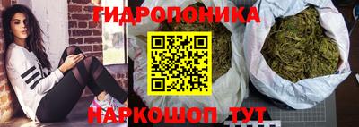 МДПВ Лесосибирск