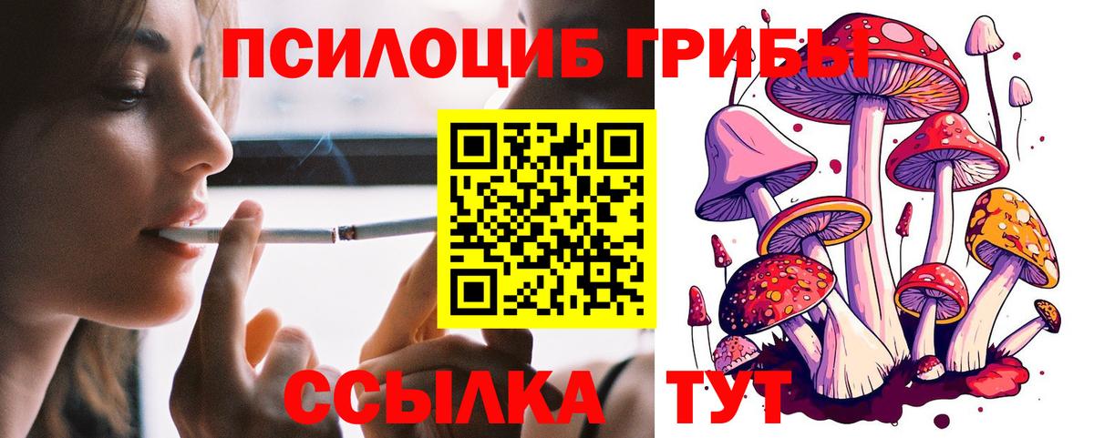 Псилоцибиновые грибы Psilocybe  Вход с VPN  Жигулёвск 